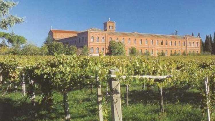 A Casa Di Marco Guesthouse - Apt Di Ciampino E Stazione Per Roma Marino Extérieur photo